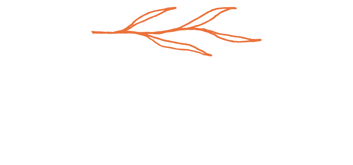 Willow at Sierra Vista Logo